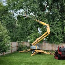 Cottonwood Heights, UT Tree Removal Company