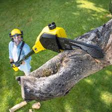 Best Stump Grinding and Removal  in Cottonwood Heights, UT