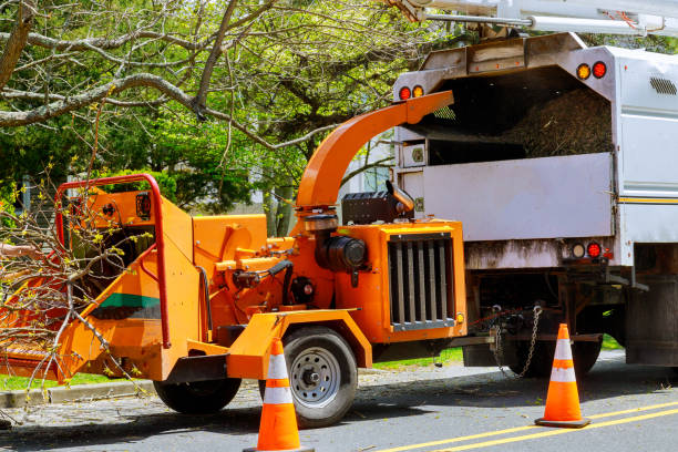 Best Tree Mulching  in Cottonwood Heights, UT